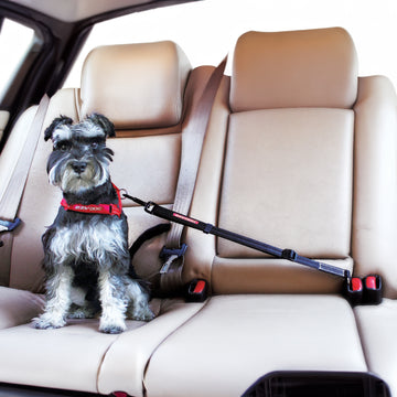 Click Dog Car Seat Belt – Adjustable Car Restraint for Dogs