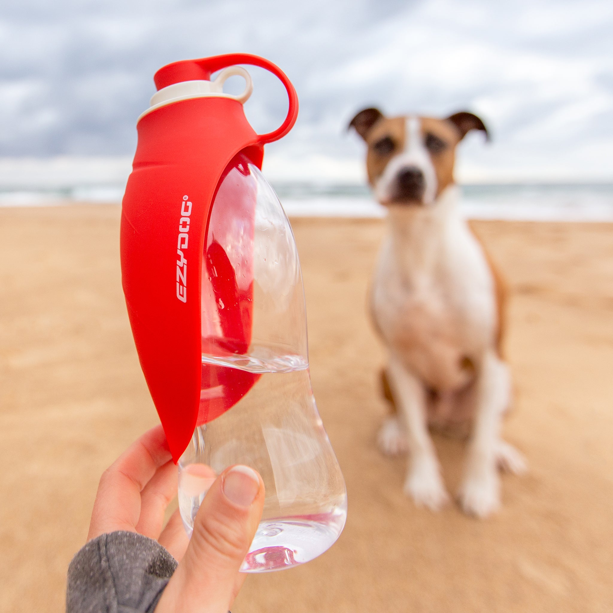 Leaf Dog Water Bottle