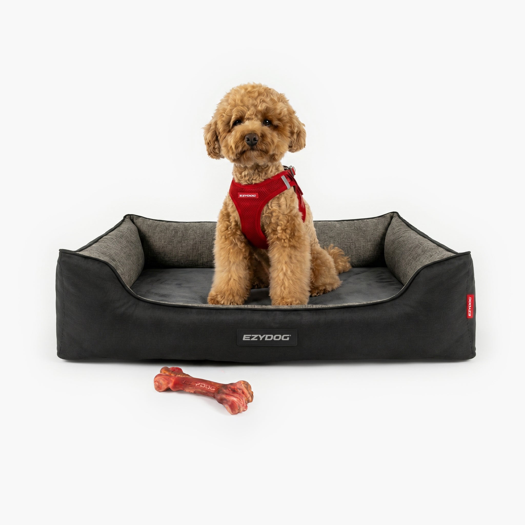 Dog sitting on a gray Ezydog orthopedic bed with a red bone toy on a white background