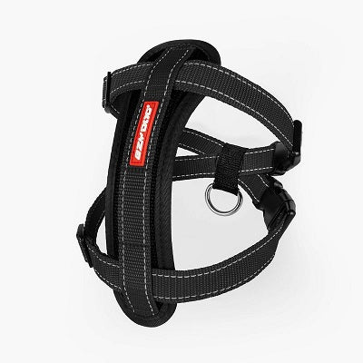 Chest Plate Harness