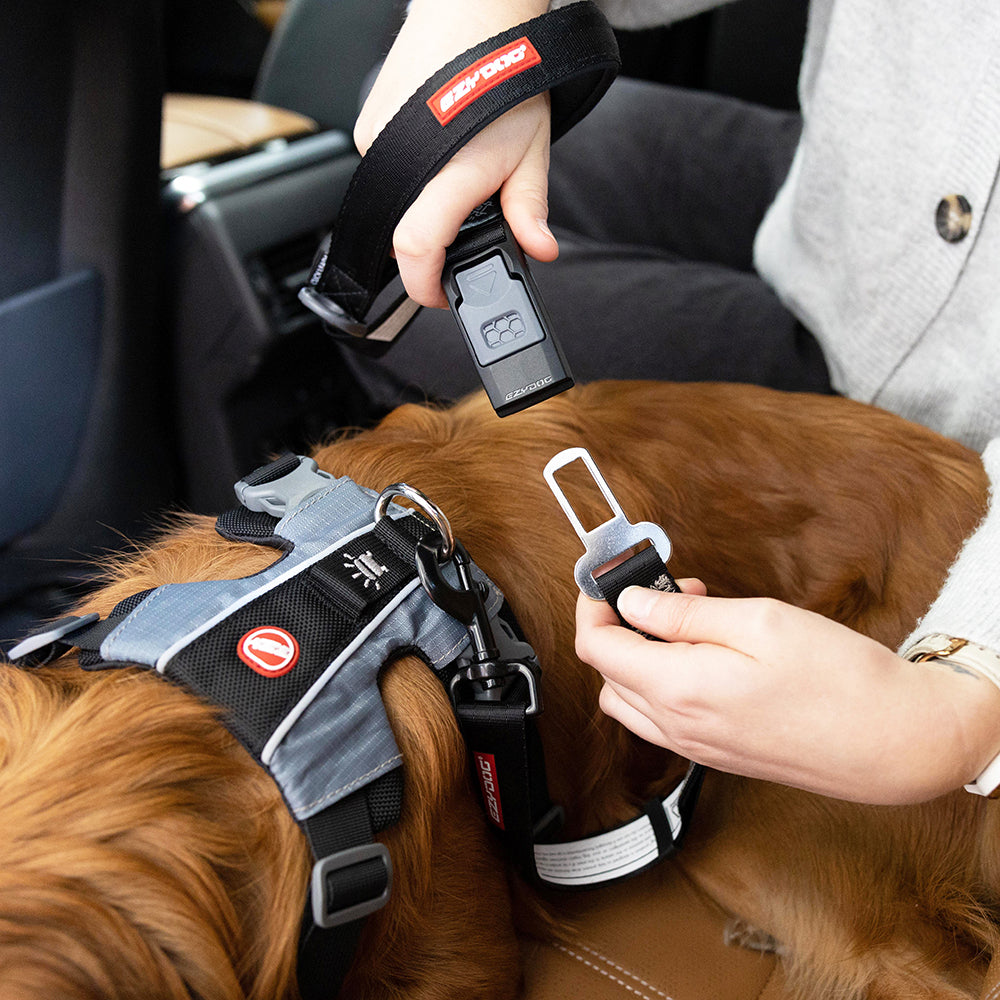 2 in 1 Car Leash Dog Seatbelt