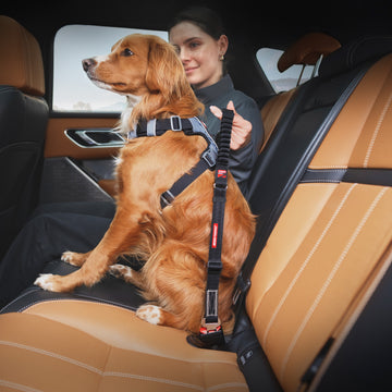 Click Zero Shock Dog Car Seat Belt – Secure Comfortable
