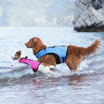 Float Vest for Dogs Pet Flotation Coat