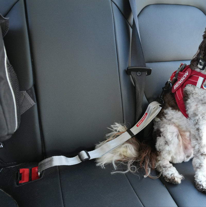 Free Grey Click Seatbelt