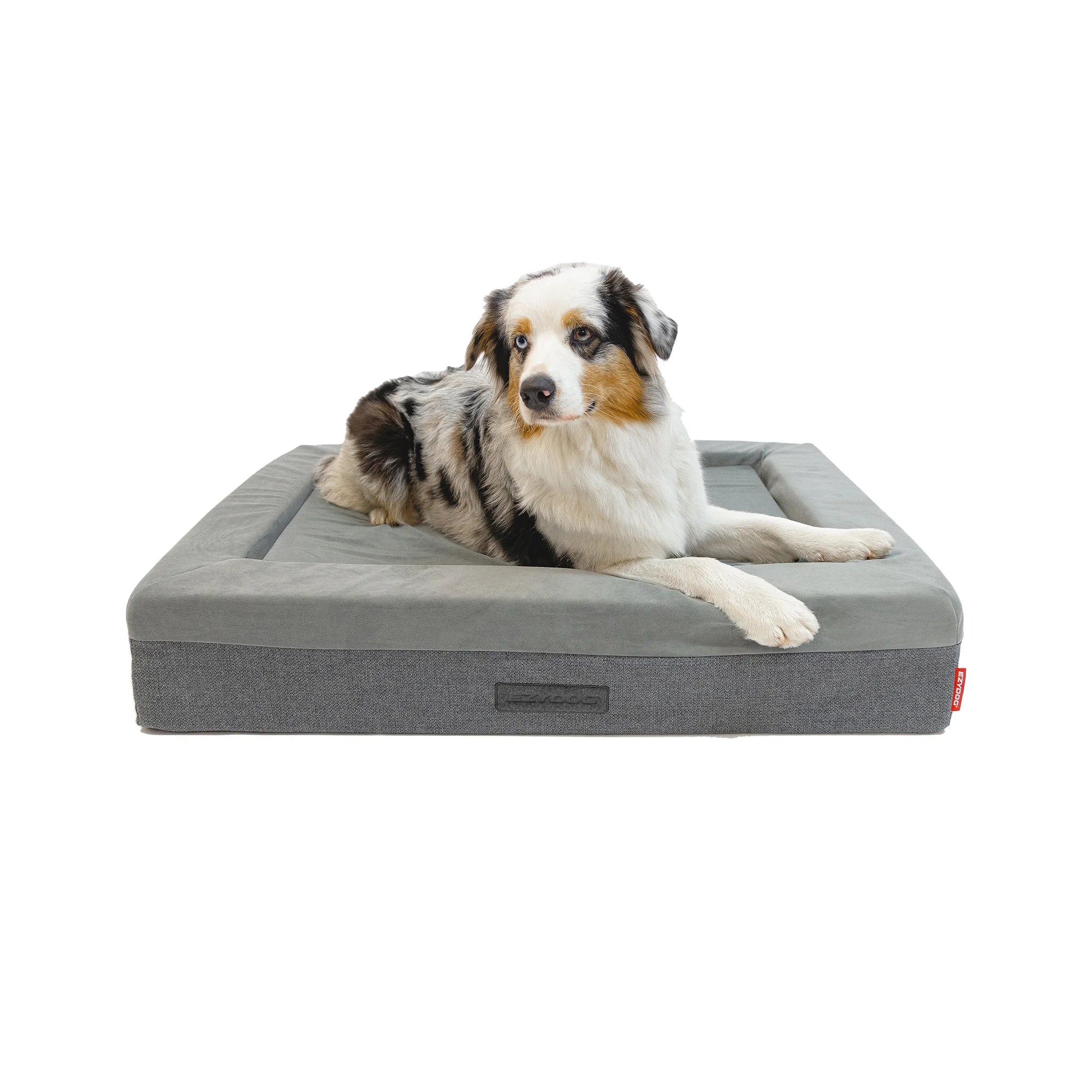 Charcoal - dog resting on Thermacore thermal dog bed