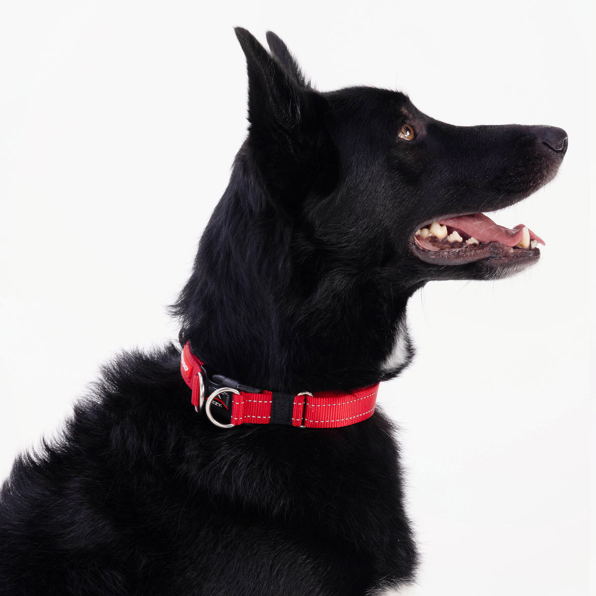 Double Up Collar