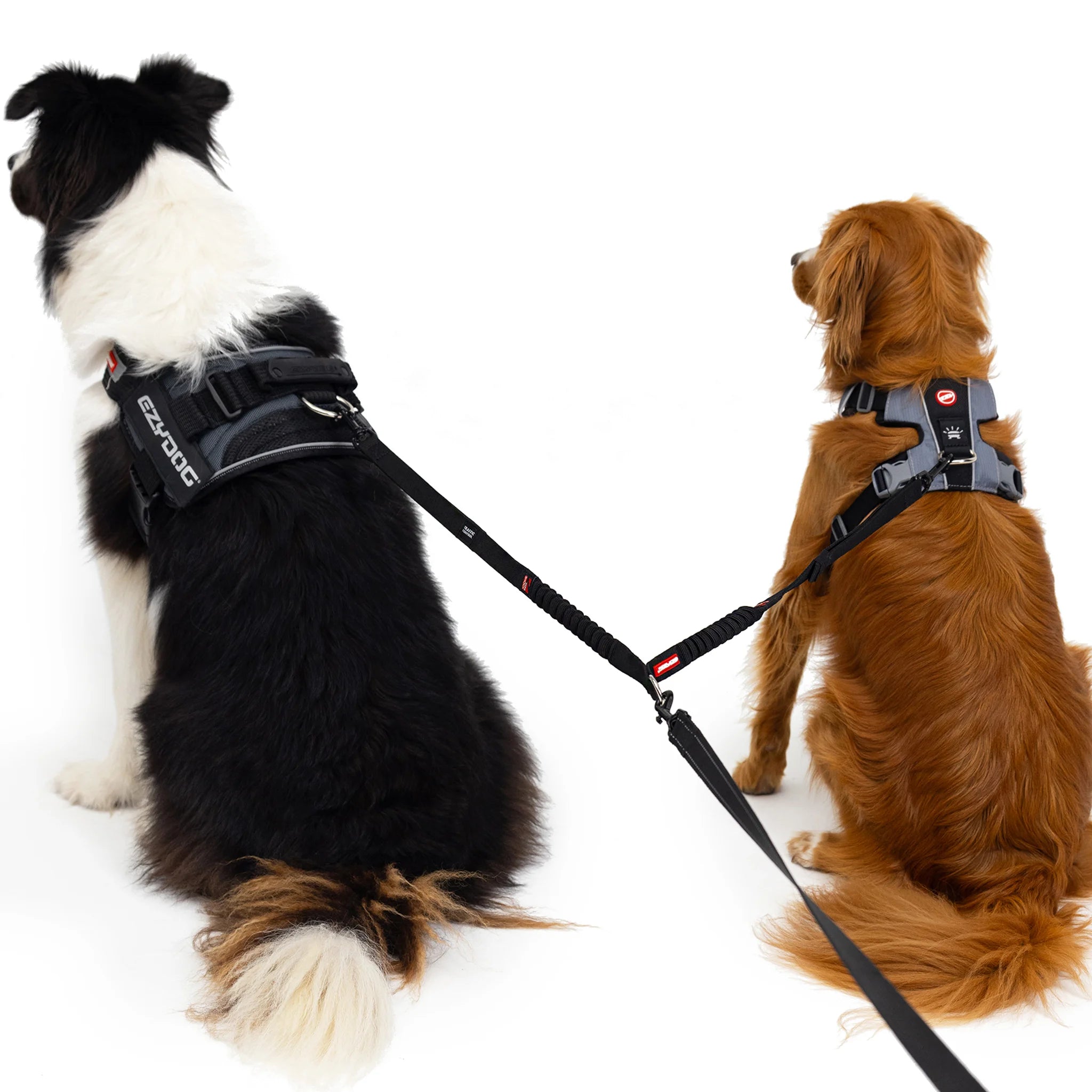 Double Dog Lead for Two Dogs from EzyDog