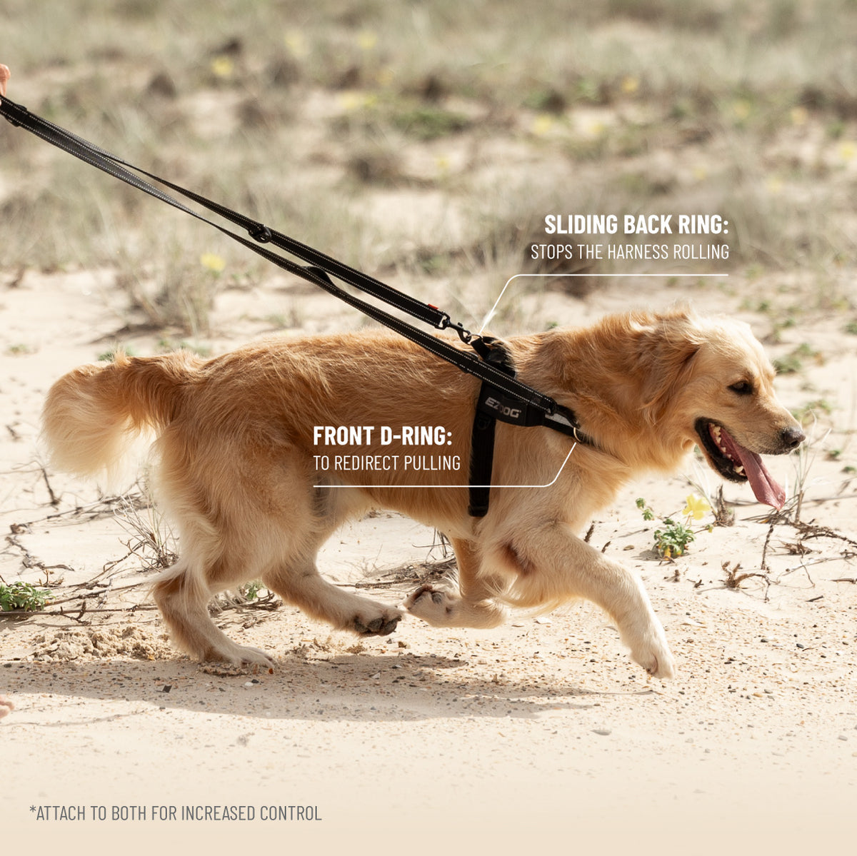 Express Harness