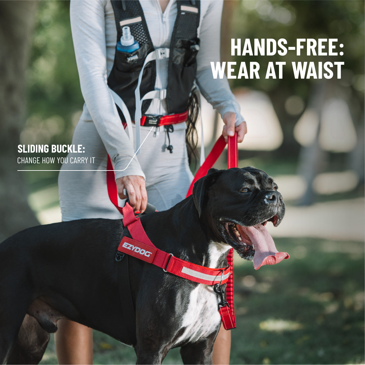 Road Runner Leash | Hands-Free Lead – Corduroy