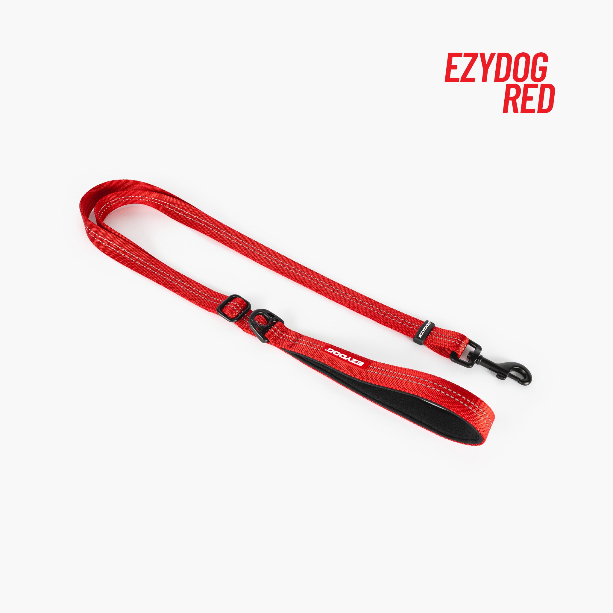Red dog leash 