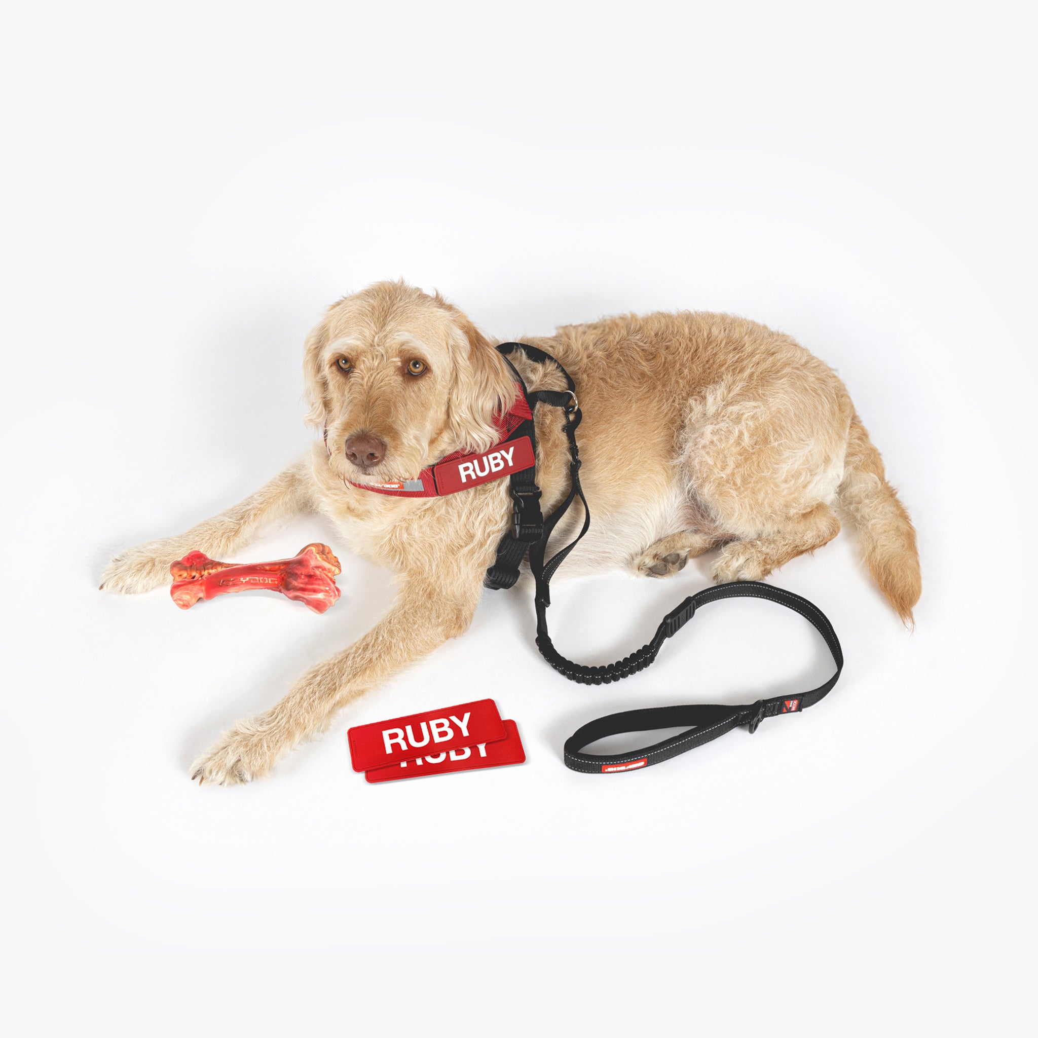 K9 Harness Julius K9 Labels Personalised Dog Vest Julius K9