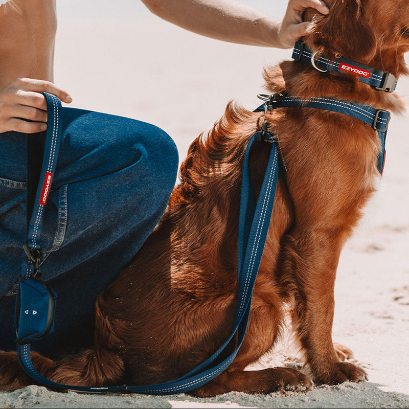 Free Essentials Leash