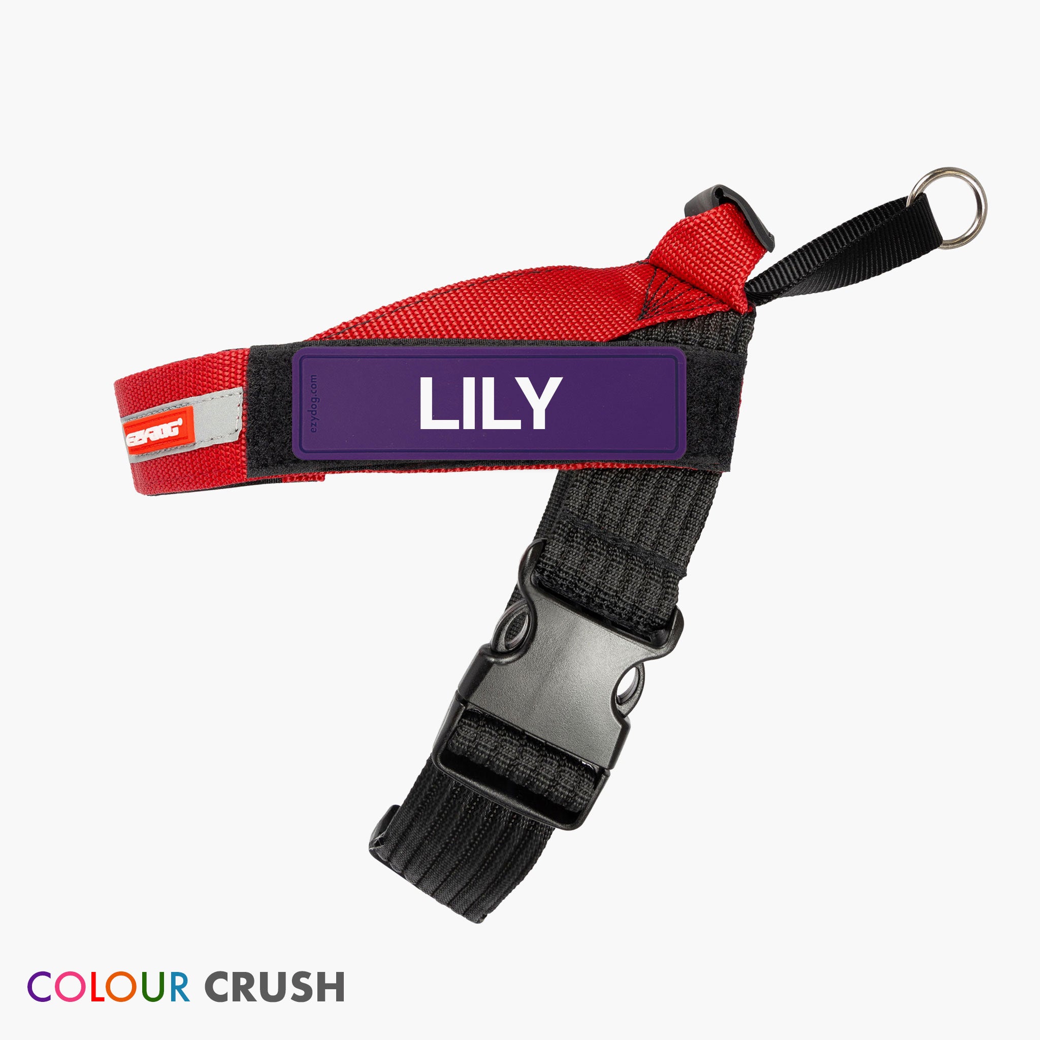 Personalised Dog Harness Custom Harness with Name Tag