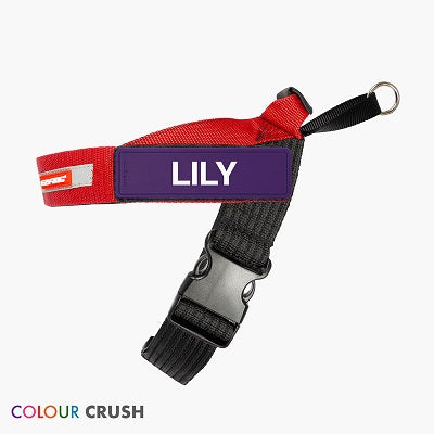 Red Purple LILY Express Harness