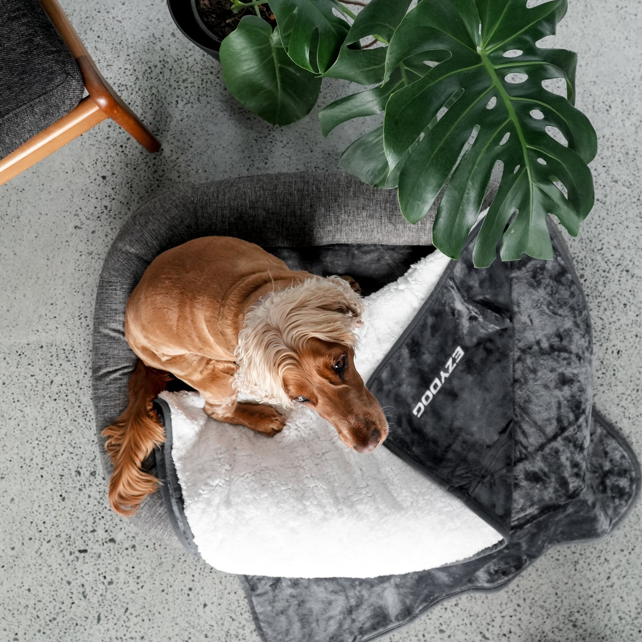 Waterproof Dog Blanket