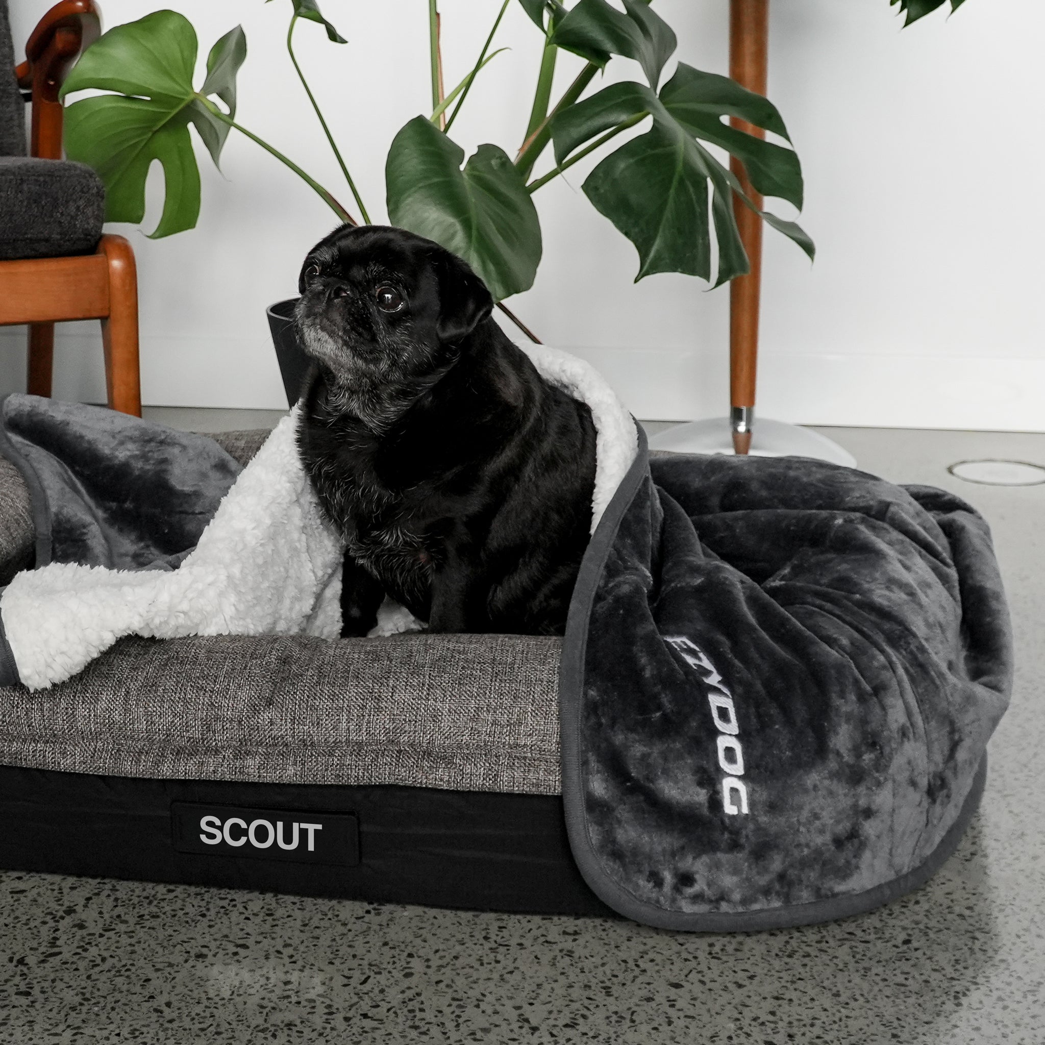 Waterproof Dog Blanket