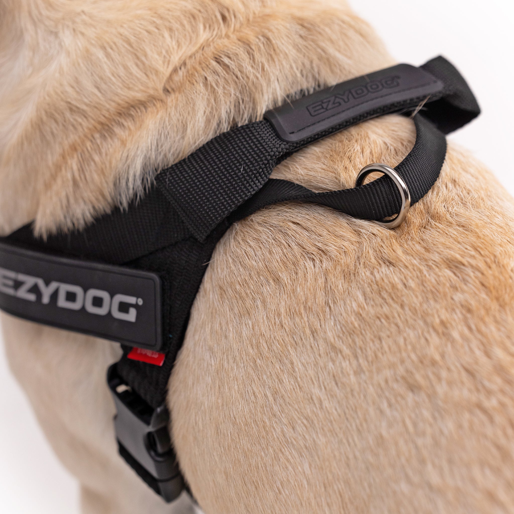 Express Dog Harness - Corduroy