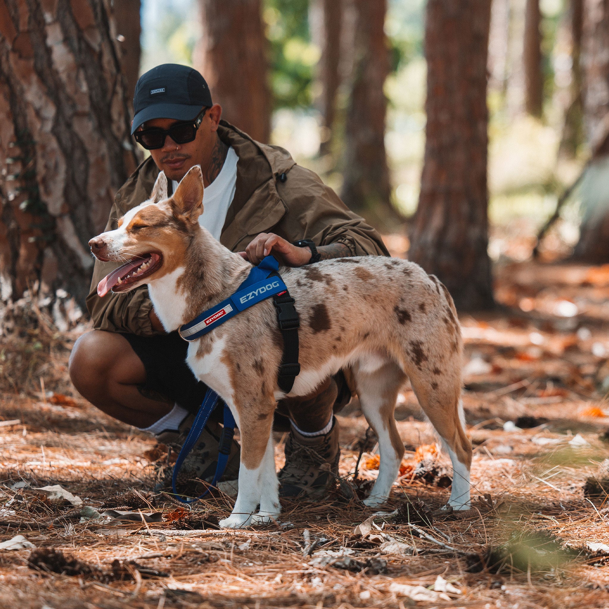 Express Dog Harness - Corduroy