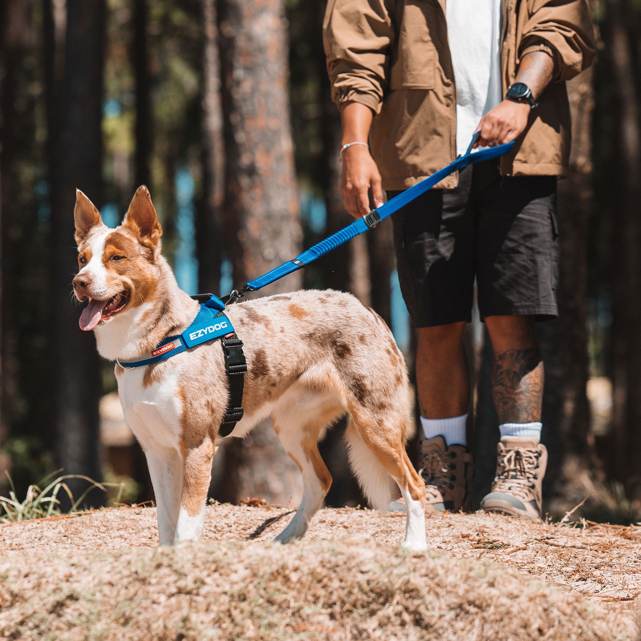 Express Dog Harness - Corduroy