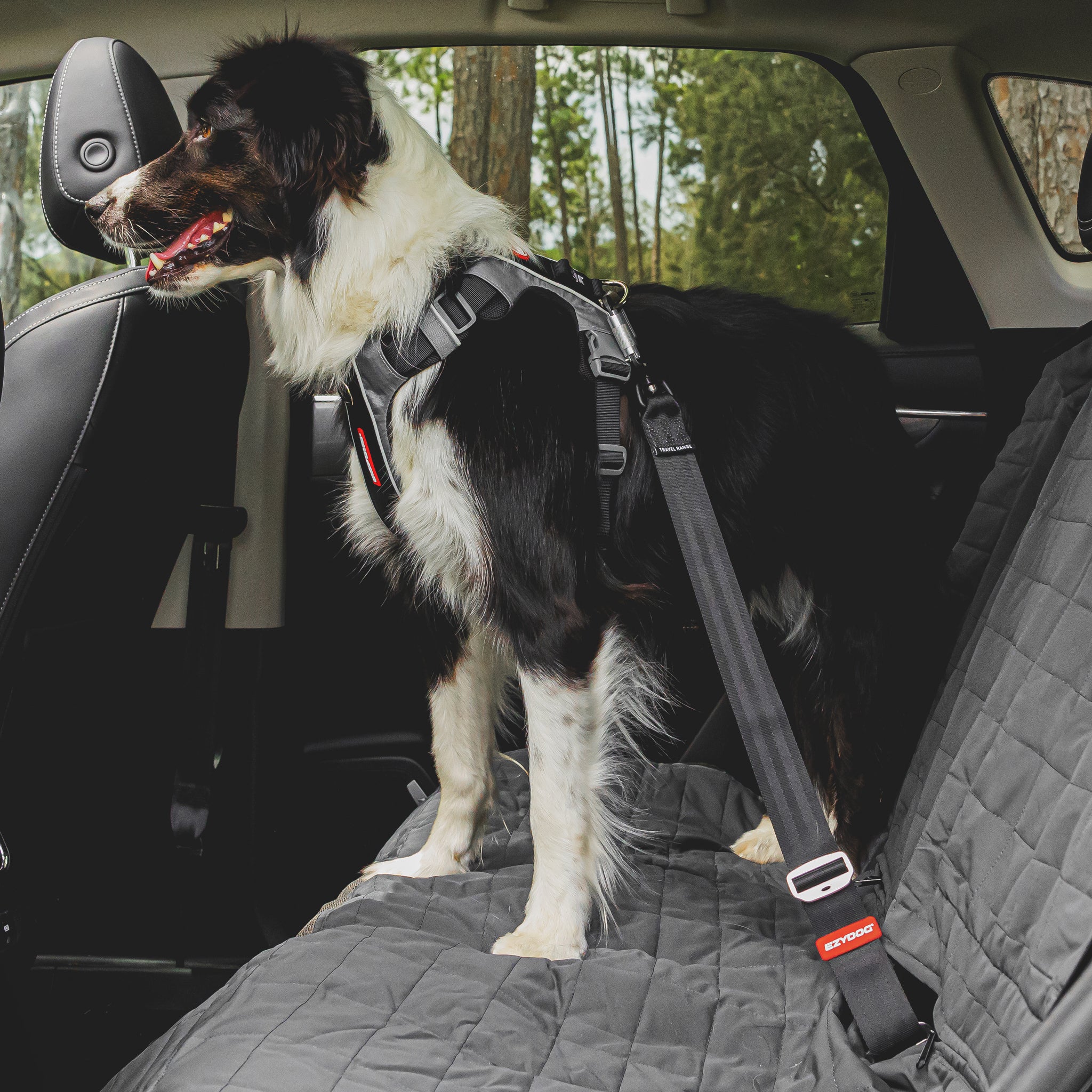 Heavy Duty Adjustable Dog Seatbelt