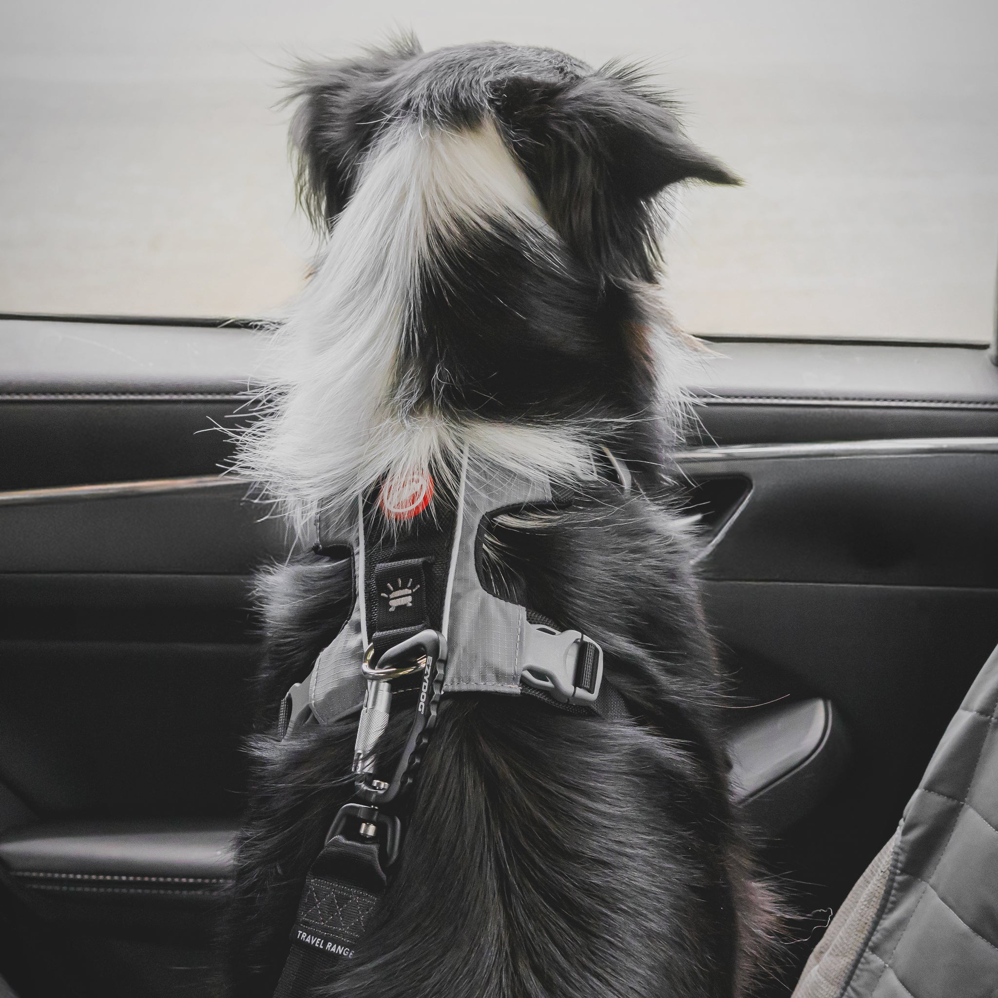 Heavy Duty Adjustable Dog Seatbelt