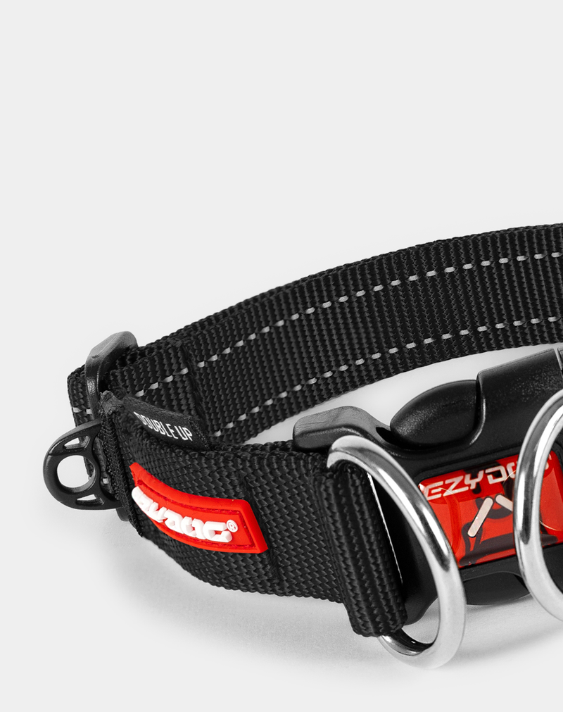 Dog Collars