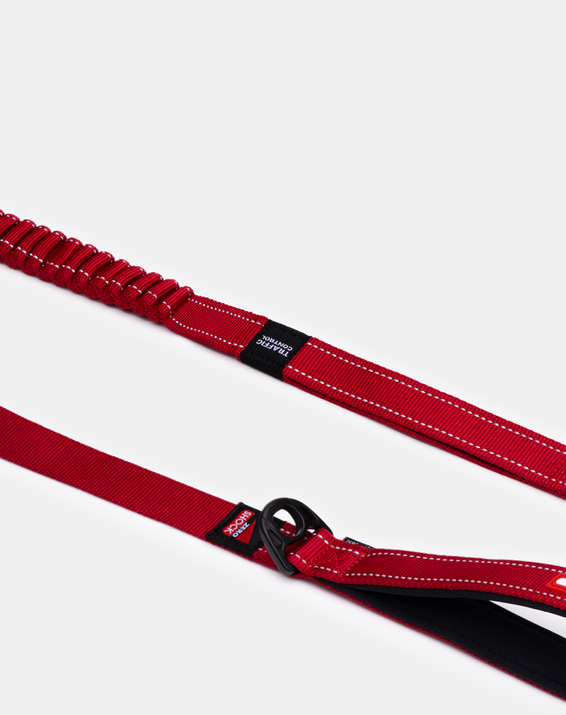 Shock-Absorbing Dog Leashes