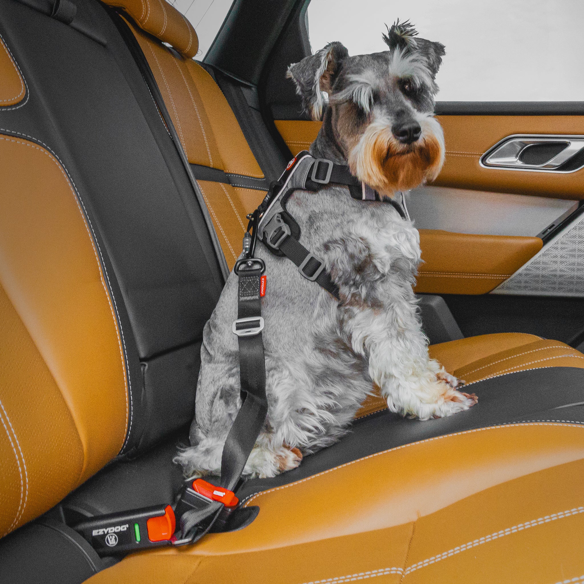 ISOFIX Latch Adjustable Dog Seatbelt