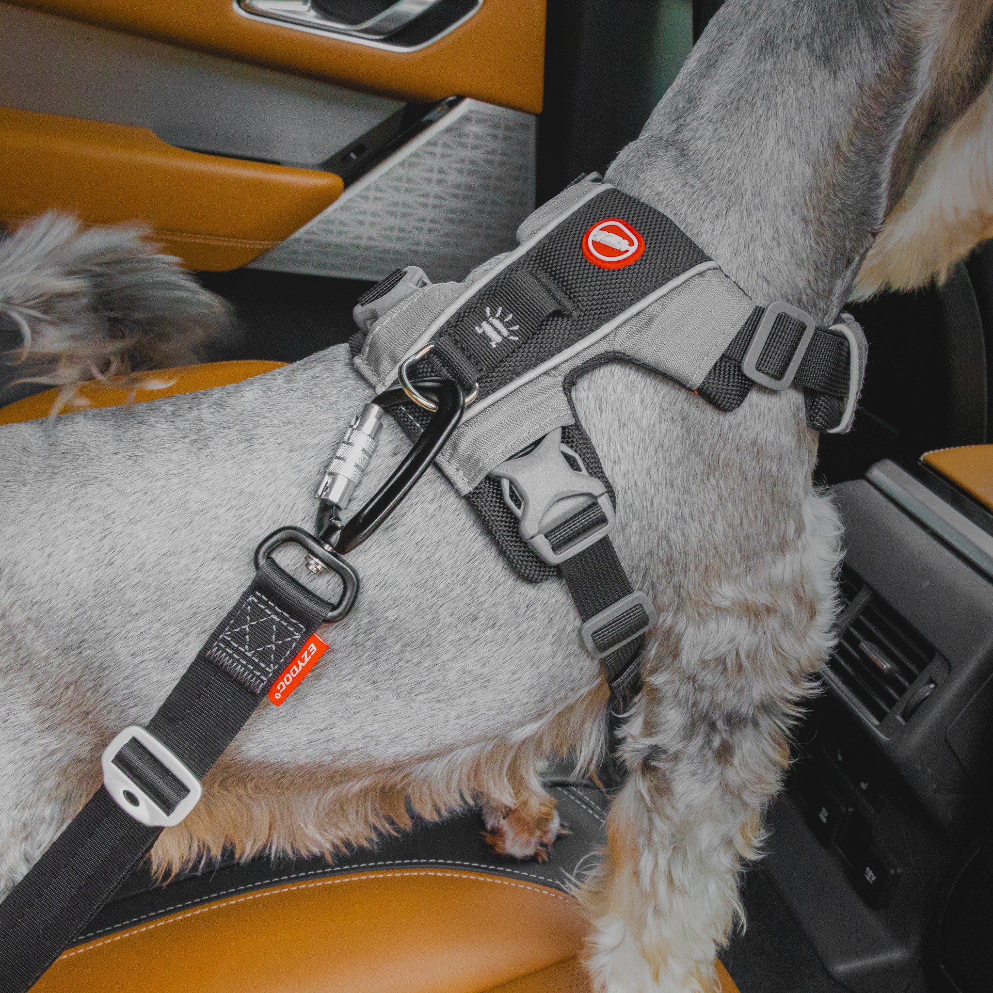 ISOFIX Latch Adjustable Dog Seatbelt