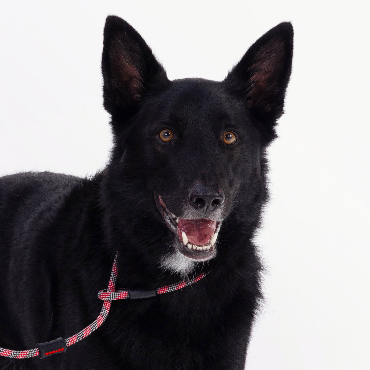Luca Rope Leash