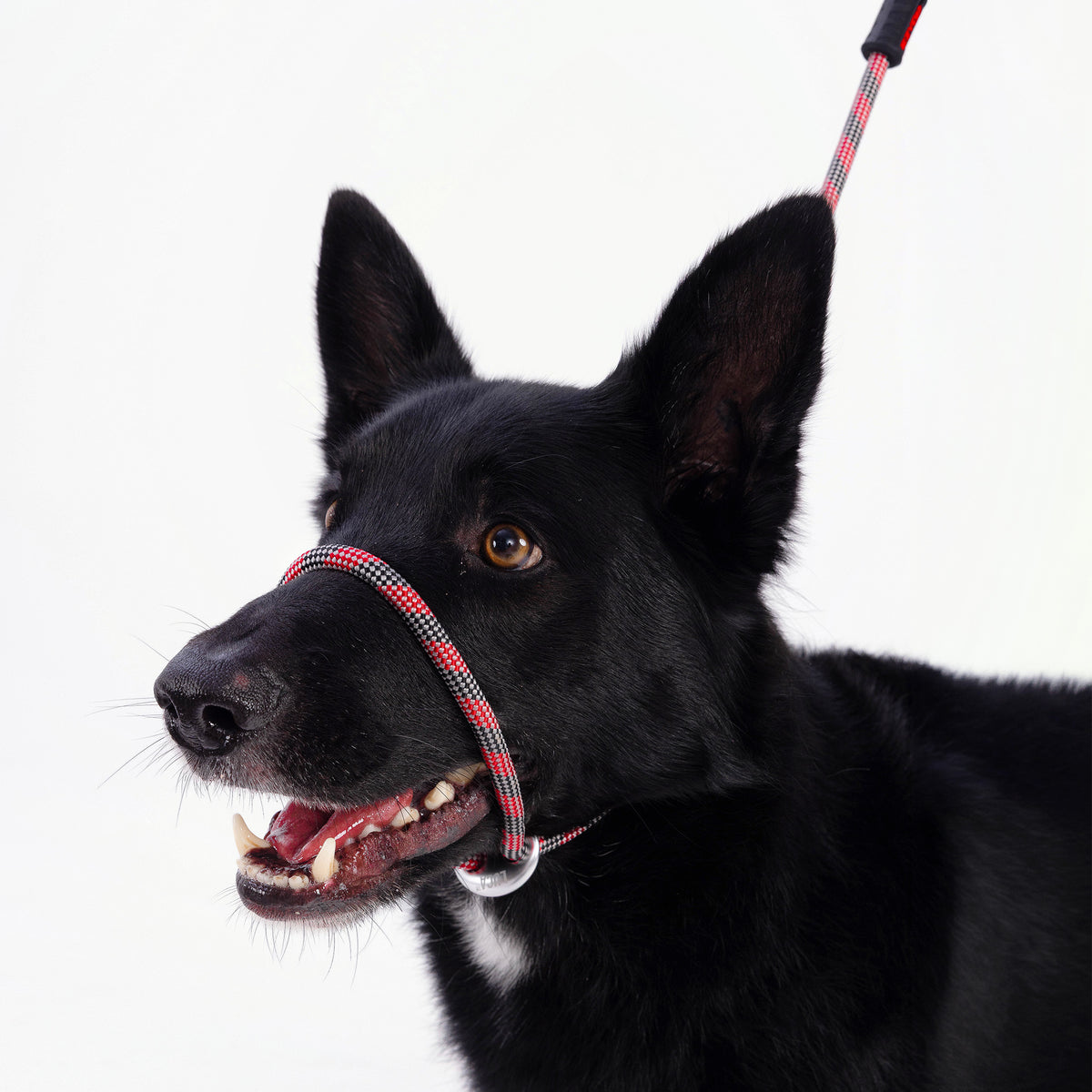 Luca Rope Leash