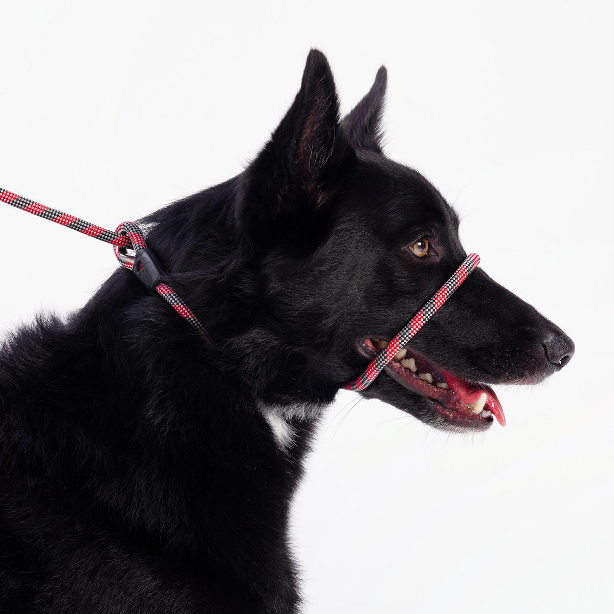Luca Rope Leash