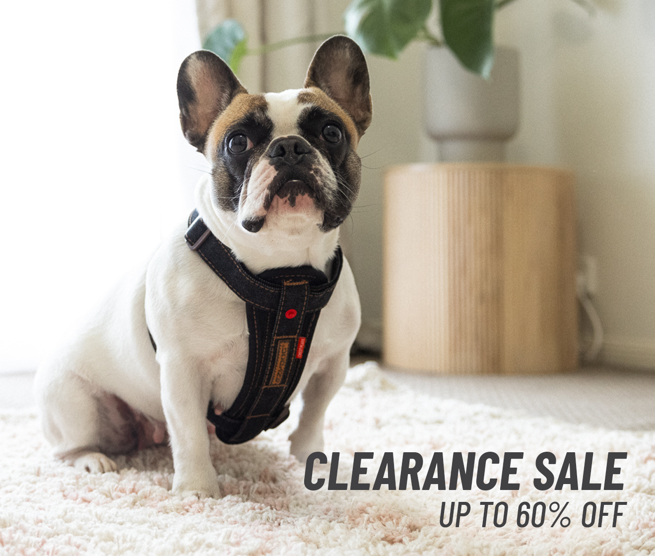 Clearance Sale