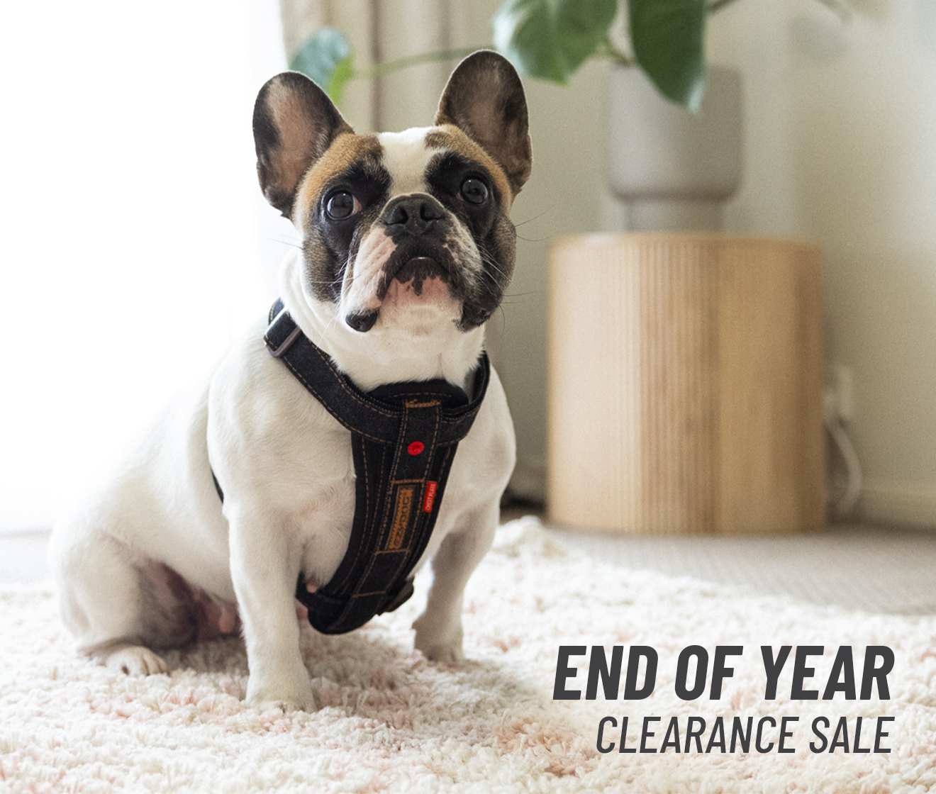 End of Year Clearance Sale