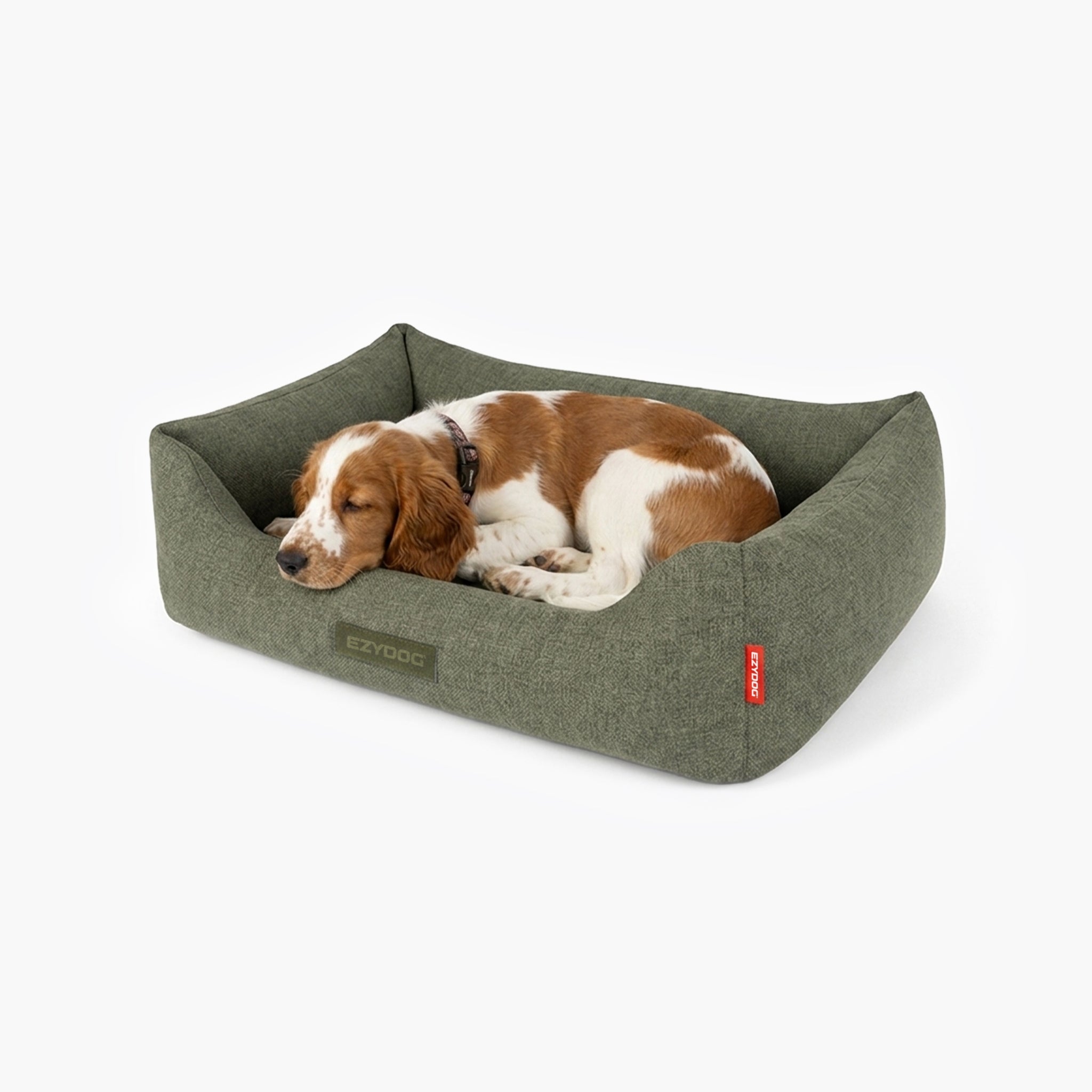 Dog lying on a green dog bed with a visible EzyDog brand logo