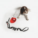 Puppy Pack