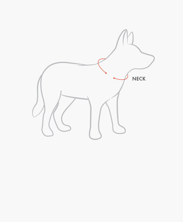 Dog Accessories Size Guide