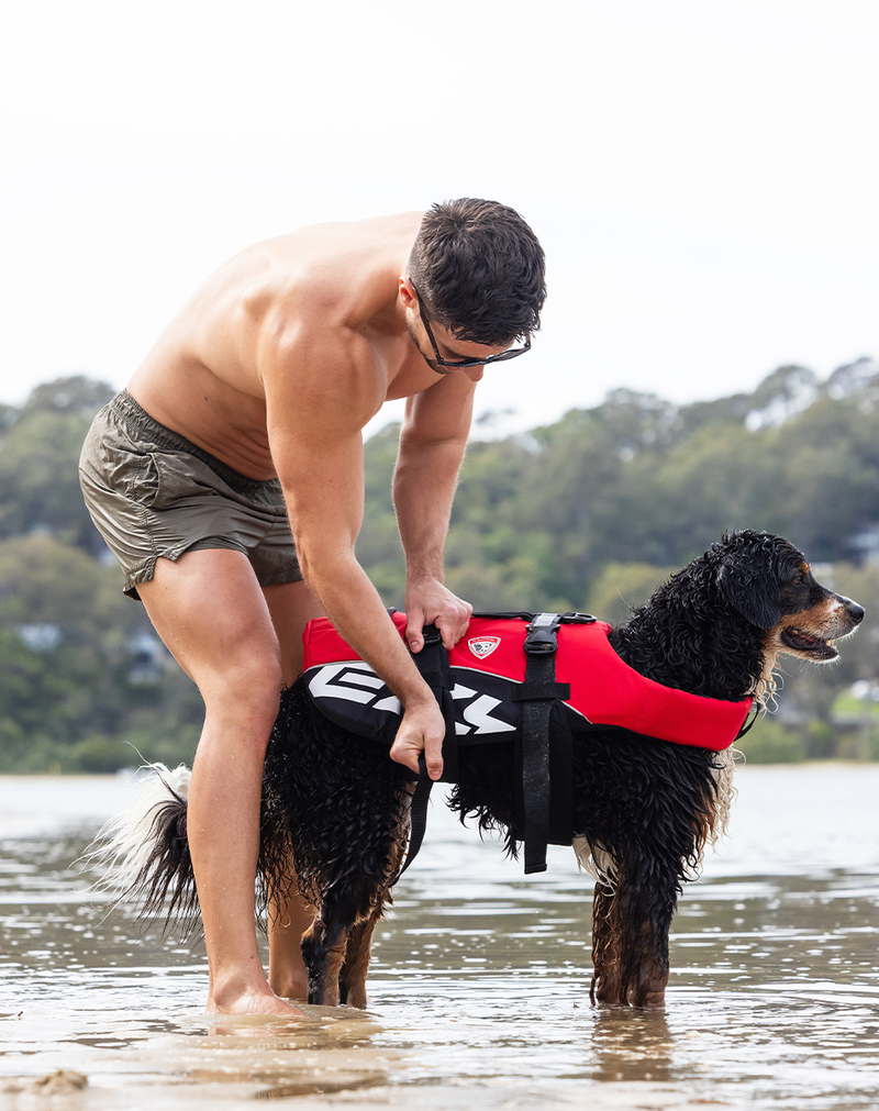Dog Flotation Device