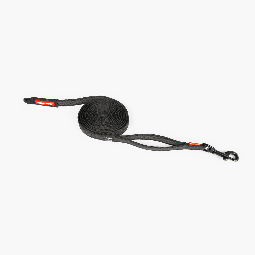 dog lead recall leash