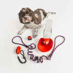 Training Pack