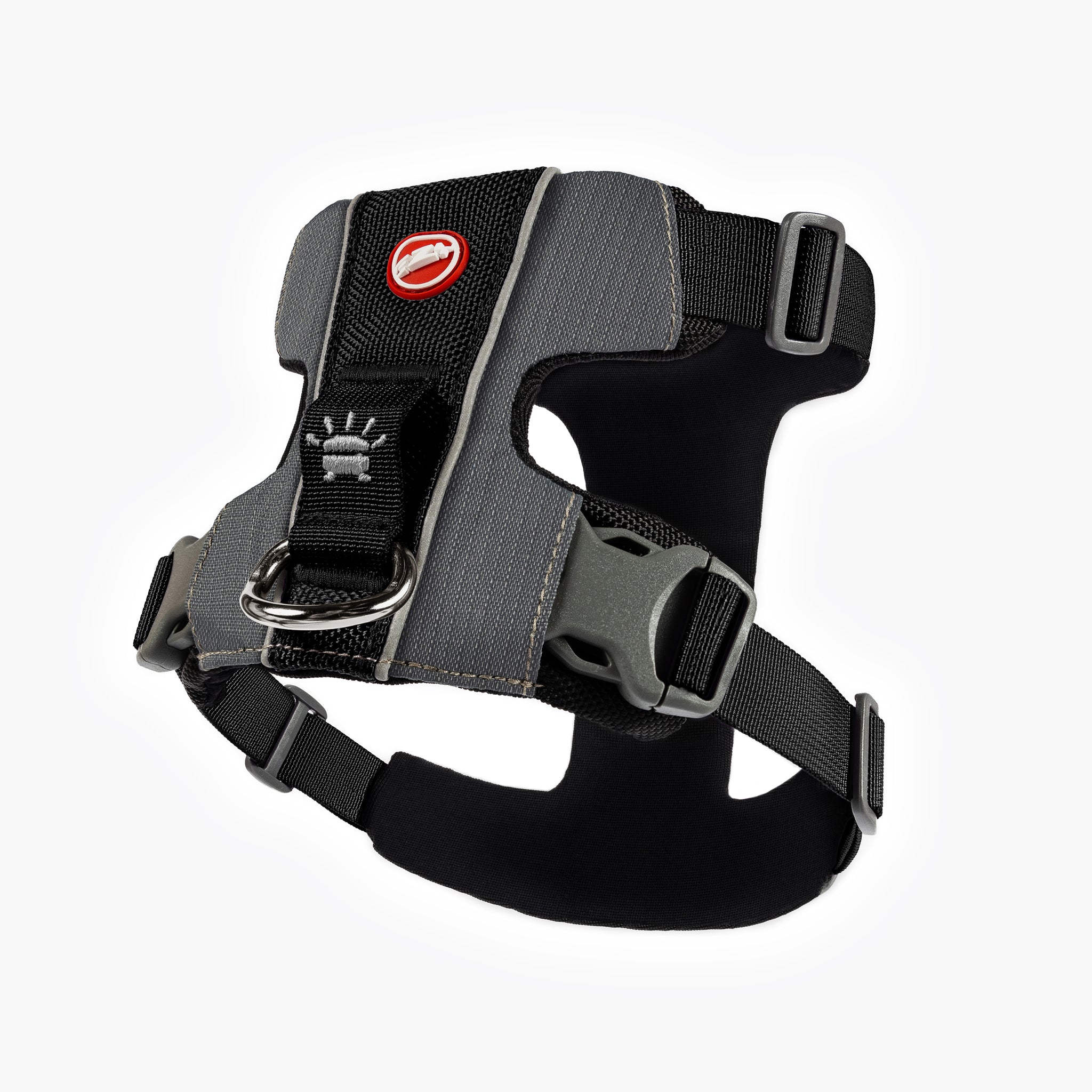 Front dog outlet harness australia