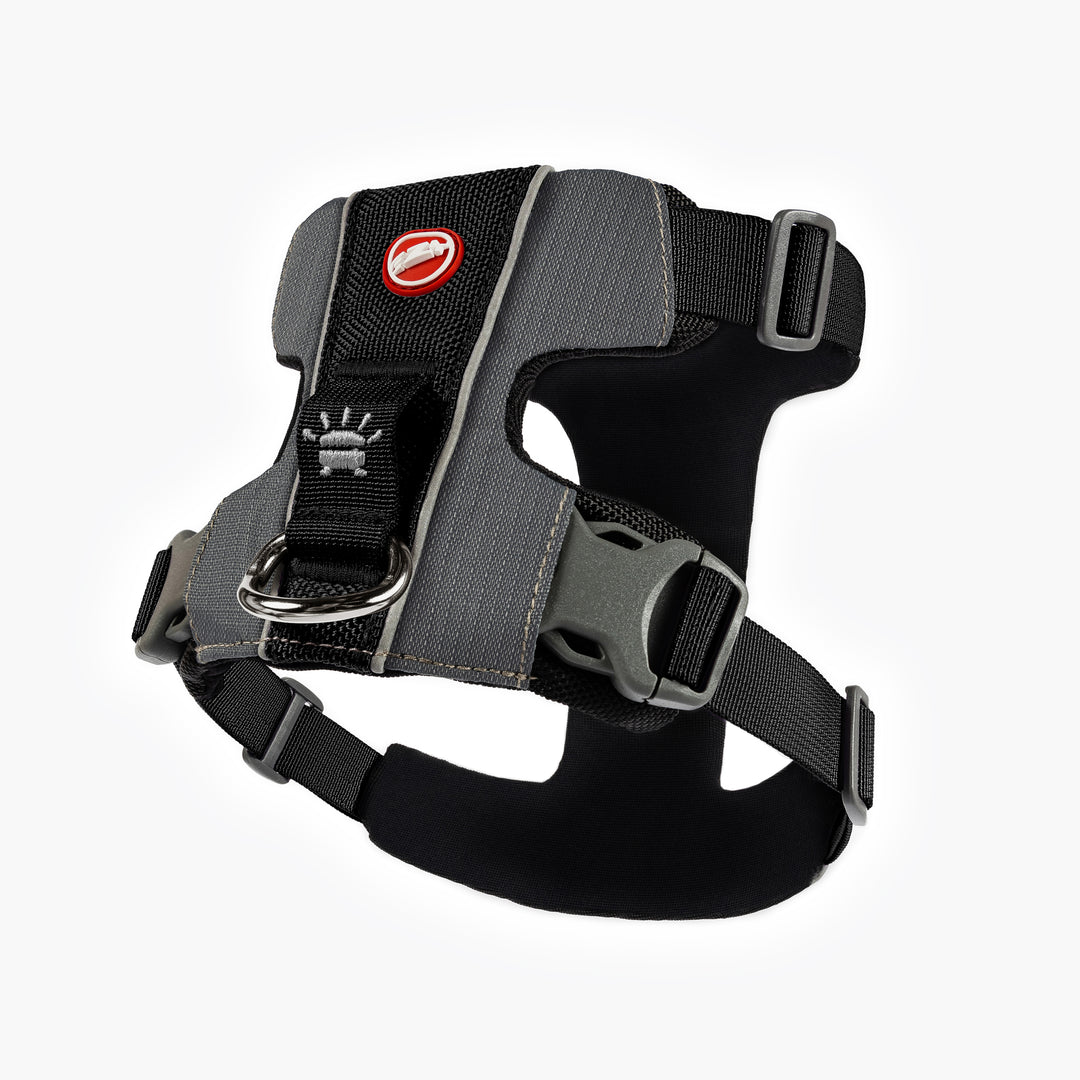 Front clip dog harness, front attaching no pull harnesses - Ezydog Australia