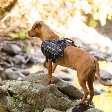 Convert Saddle Bags – Dog Harness Bag for Adventure EzyDog