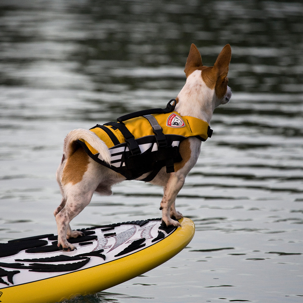 Dog Life Jacket Float Vest DFD Micro