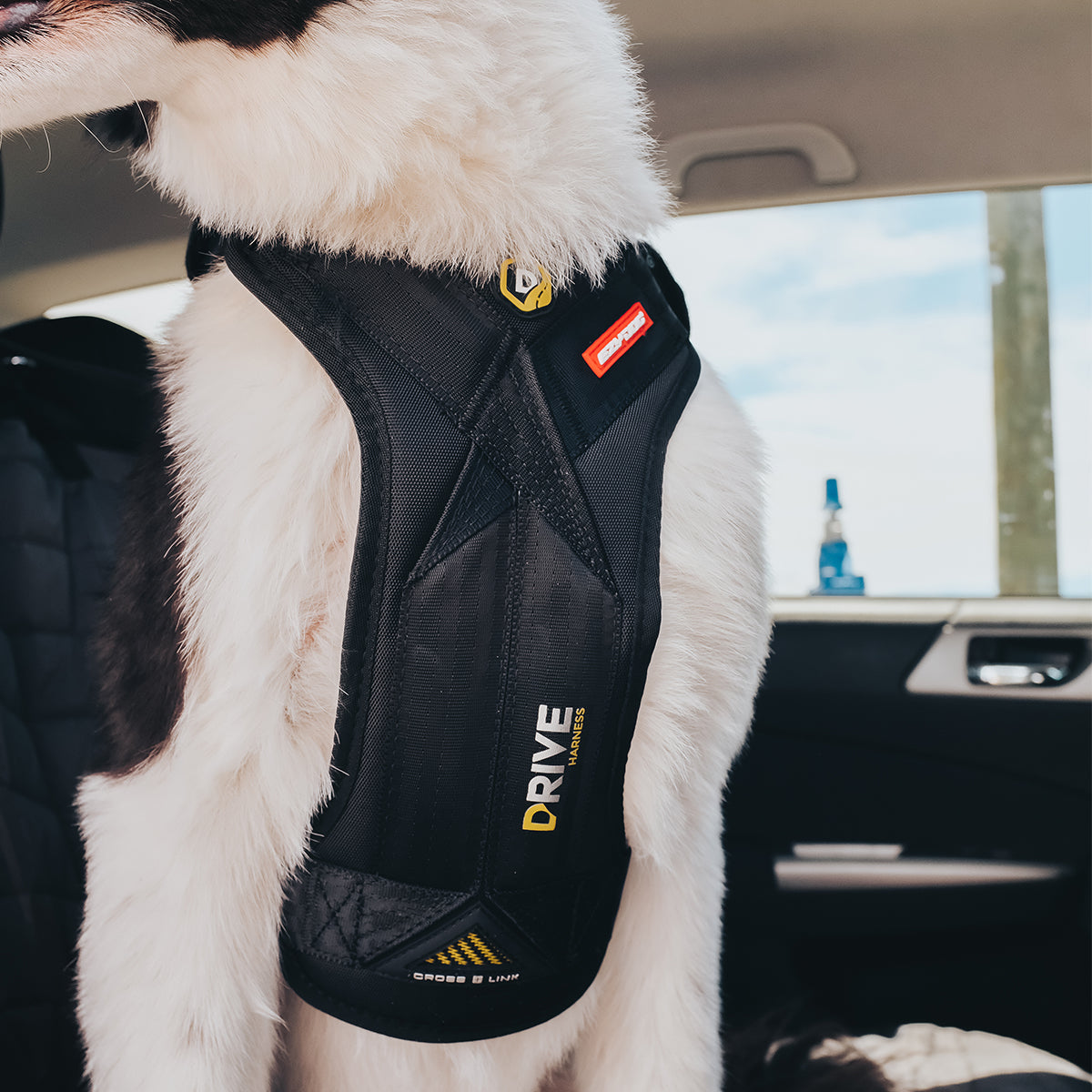 Dog Car Harness Drive Harness