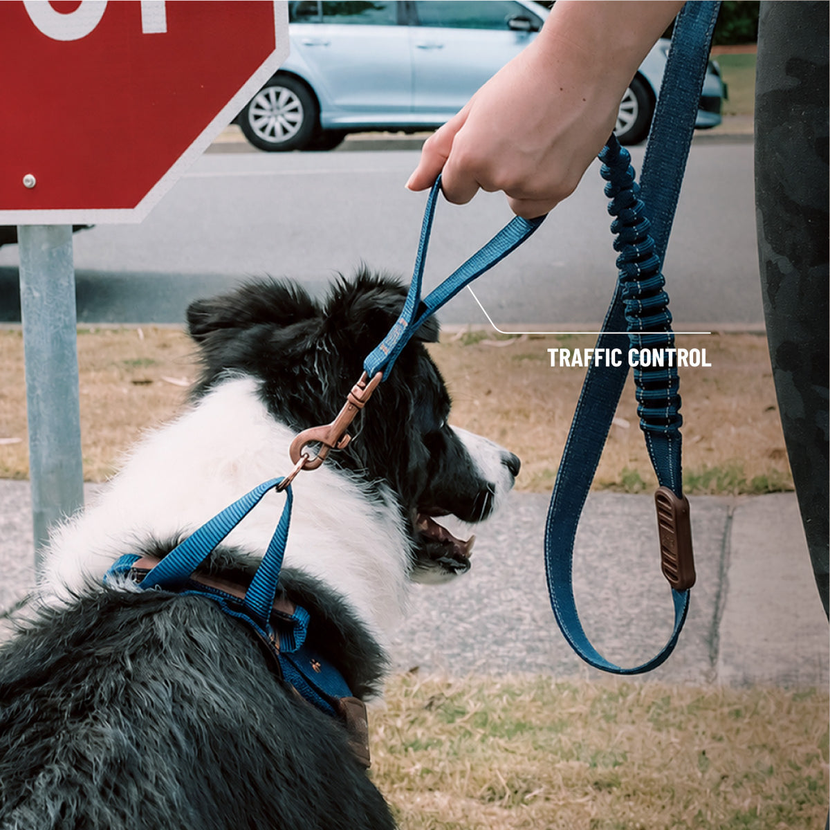 Road Runner Leash - Camo
