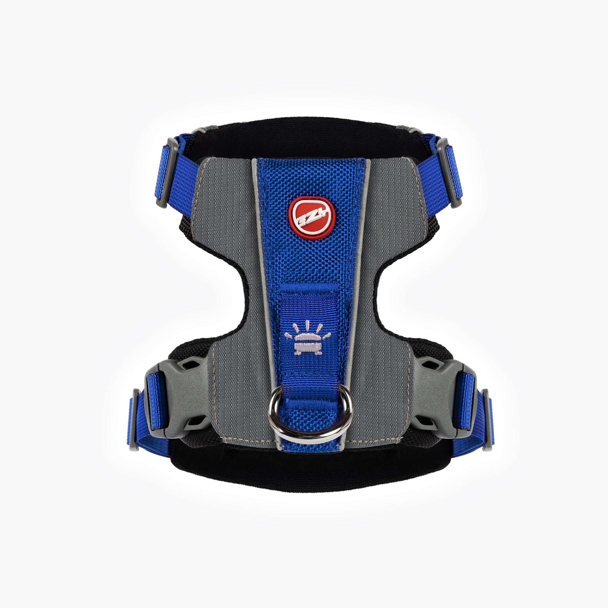 Back view of blue EzyDog X-Link Harness with padded chest plate and no-pull front clip