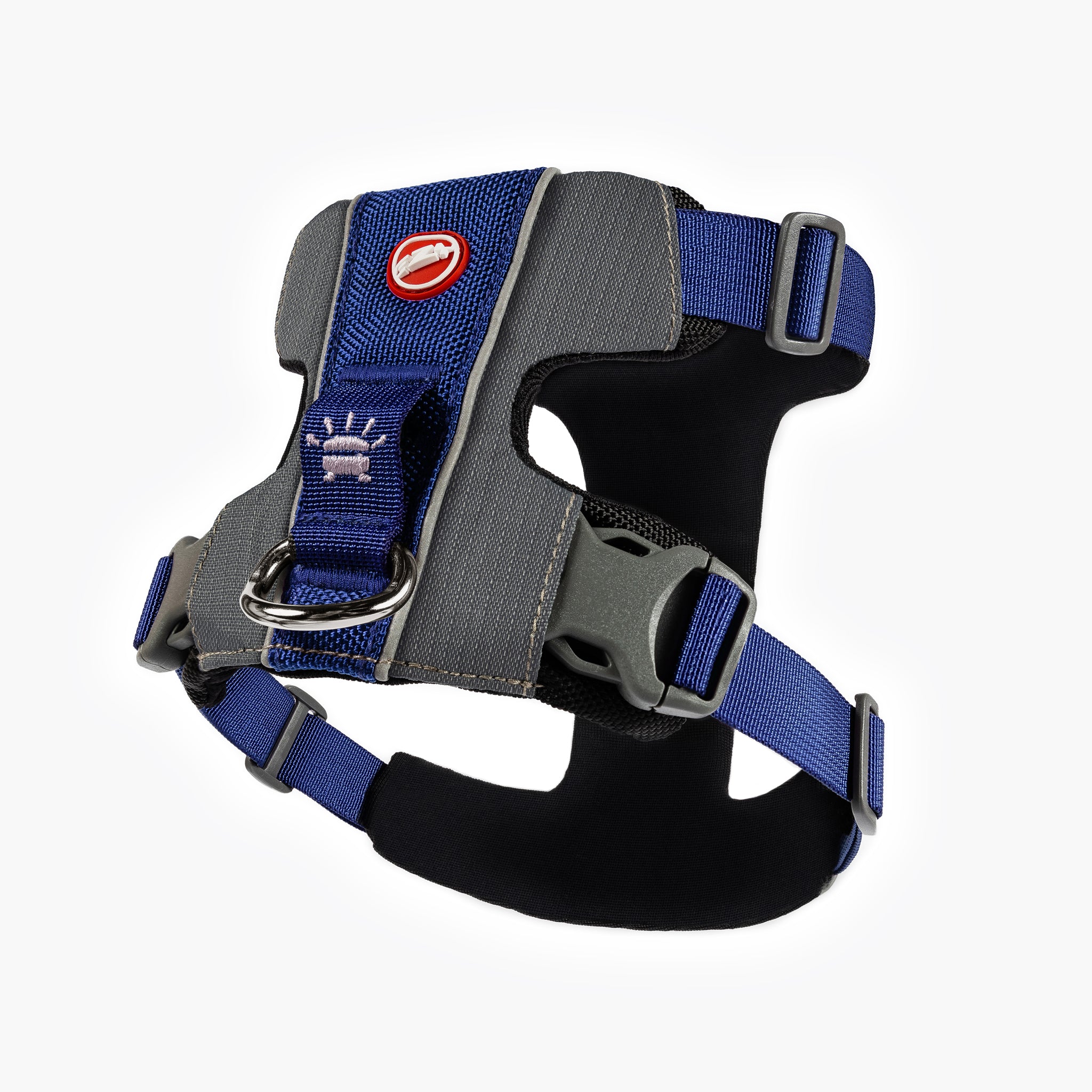 Back view of blue EzyDog X-Link Harness with padded chest plate and no-pull front clip