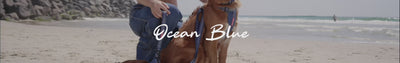 EzyDog Ocean Blue Collection