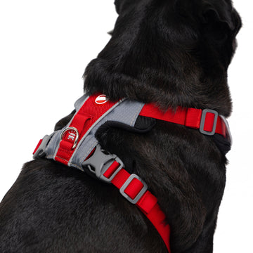 EzyDog X-Link Harness Front Clip No Pull Dog Harness